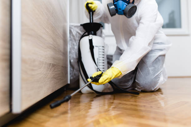 Best Best Pest Control Companies  in Mbria, CA