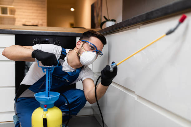 Best Pest Control Near Me in Cambria, CA