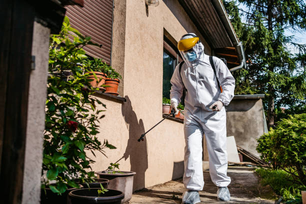 Best Pest Control for Homes  in Mbria, CA