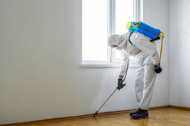 Best Pest Removal Services  in Mbria, CA