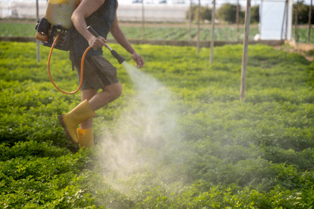 Best Residential Pest Control  in Mbria, CA