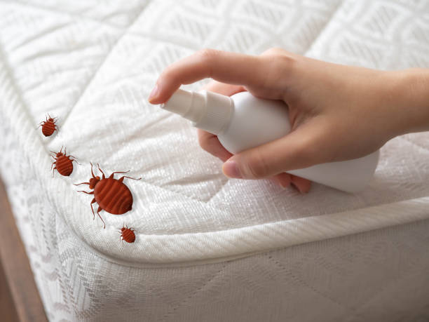 Best Insect Control  in Mbria, CA