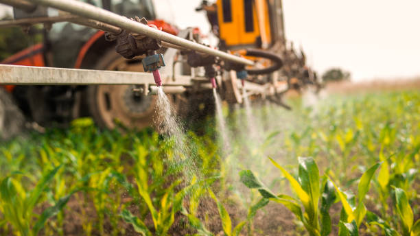 Best Ant Control Services  in Mbria, CA
